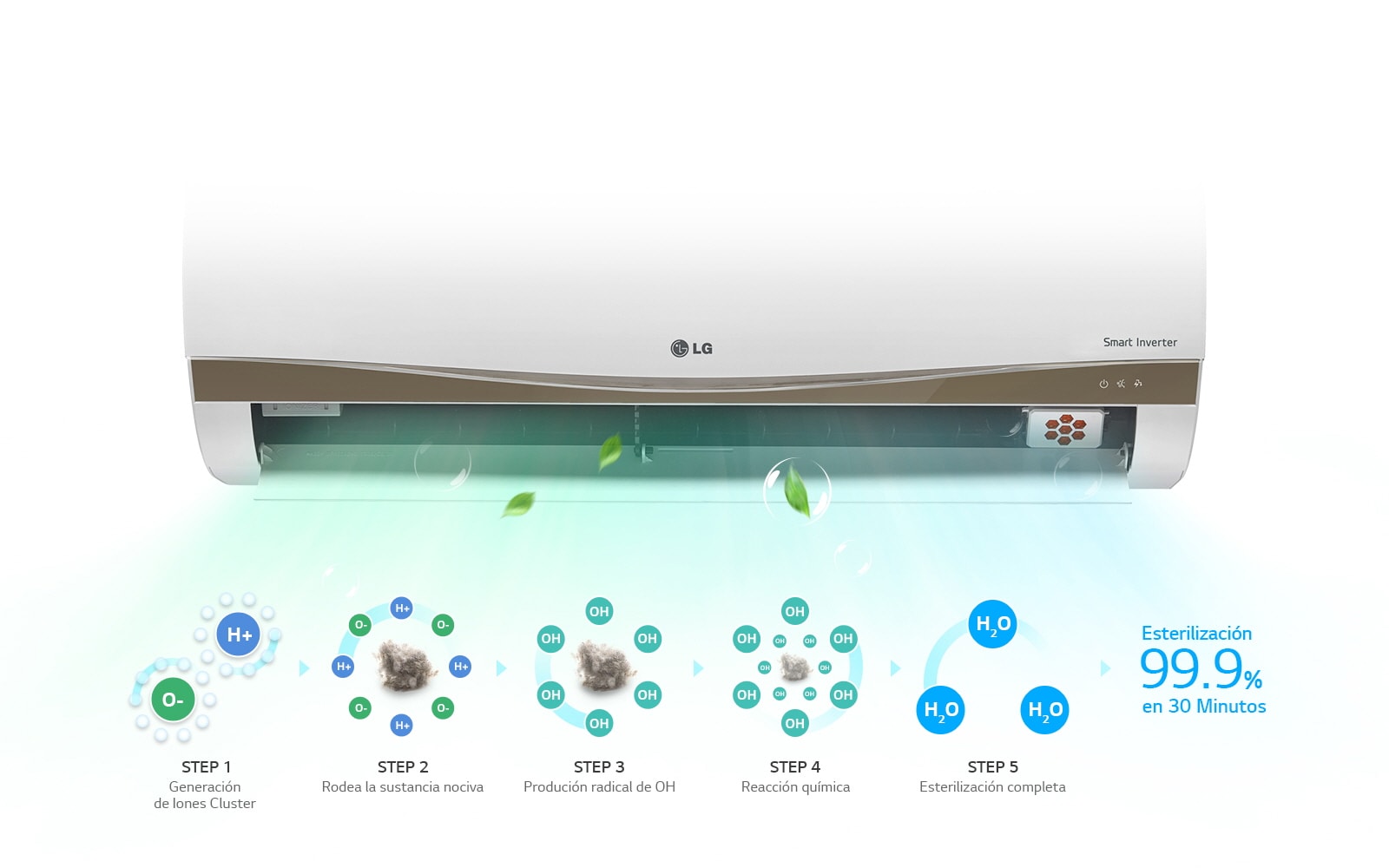 Plasmaster™ Ionizador